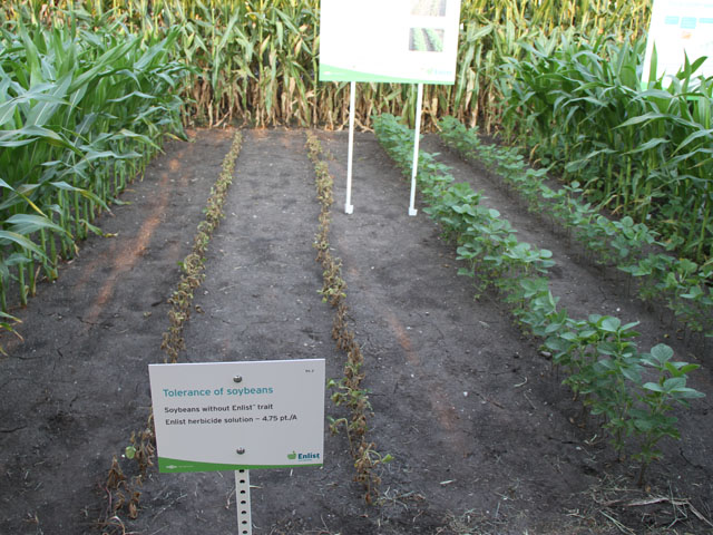 Enlist Duo is a new formulation of 2,4-D and glyphosate created specifically to be used with Enlist herbicide-tolerant traits. (DTN file photo by Pam Smith)